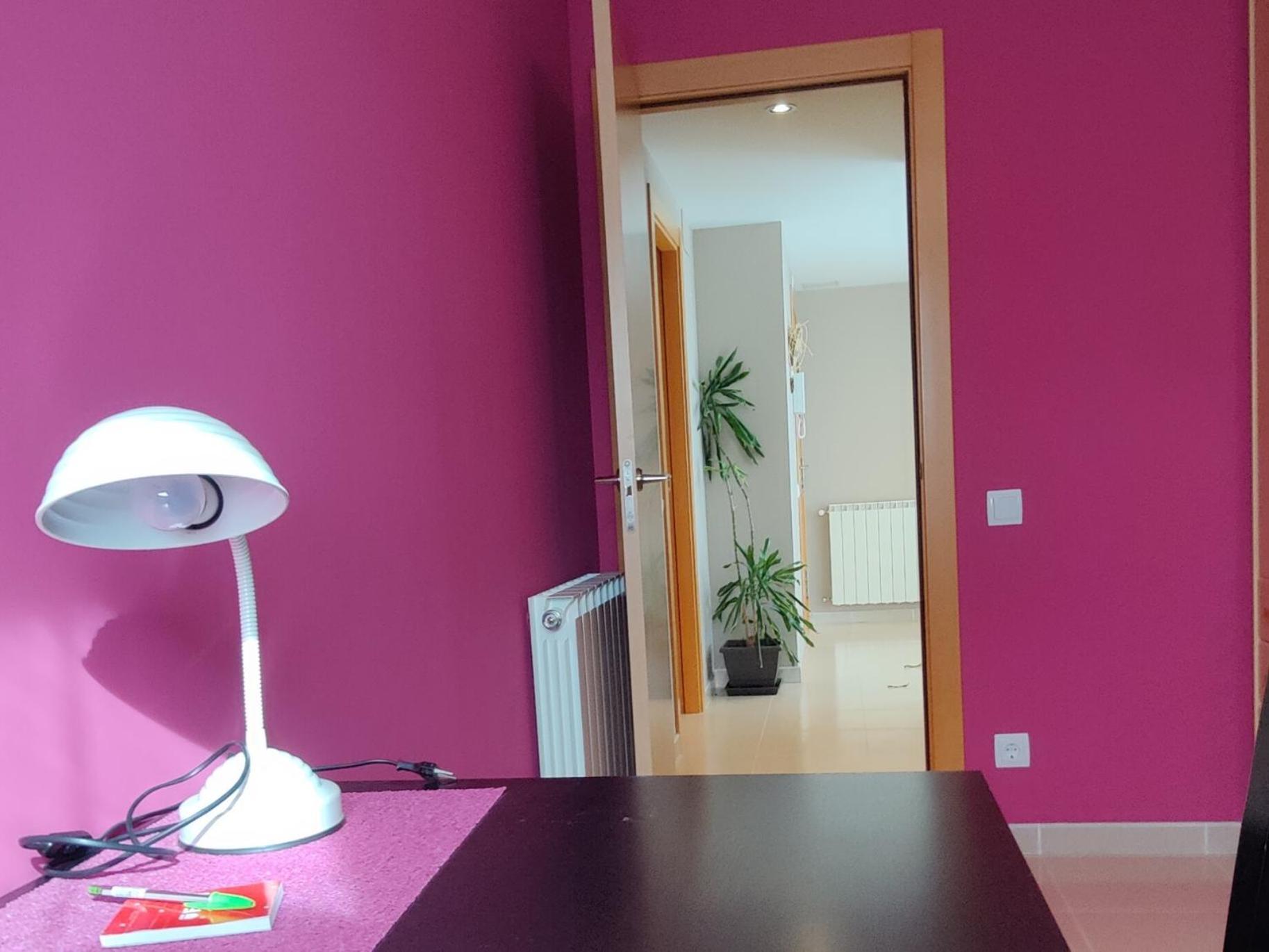 Ca L'Esmolet Apartment Tremp Luaran gambar